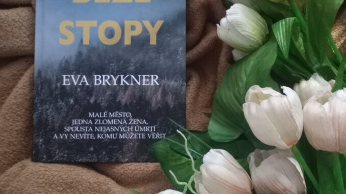 zdroj: vlastní archiv
