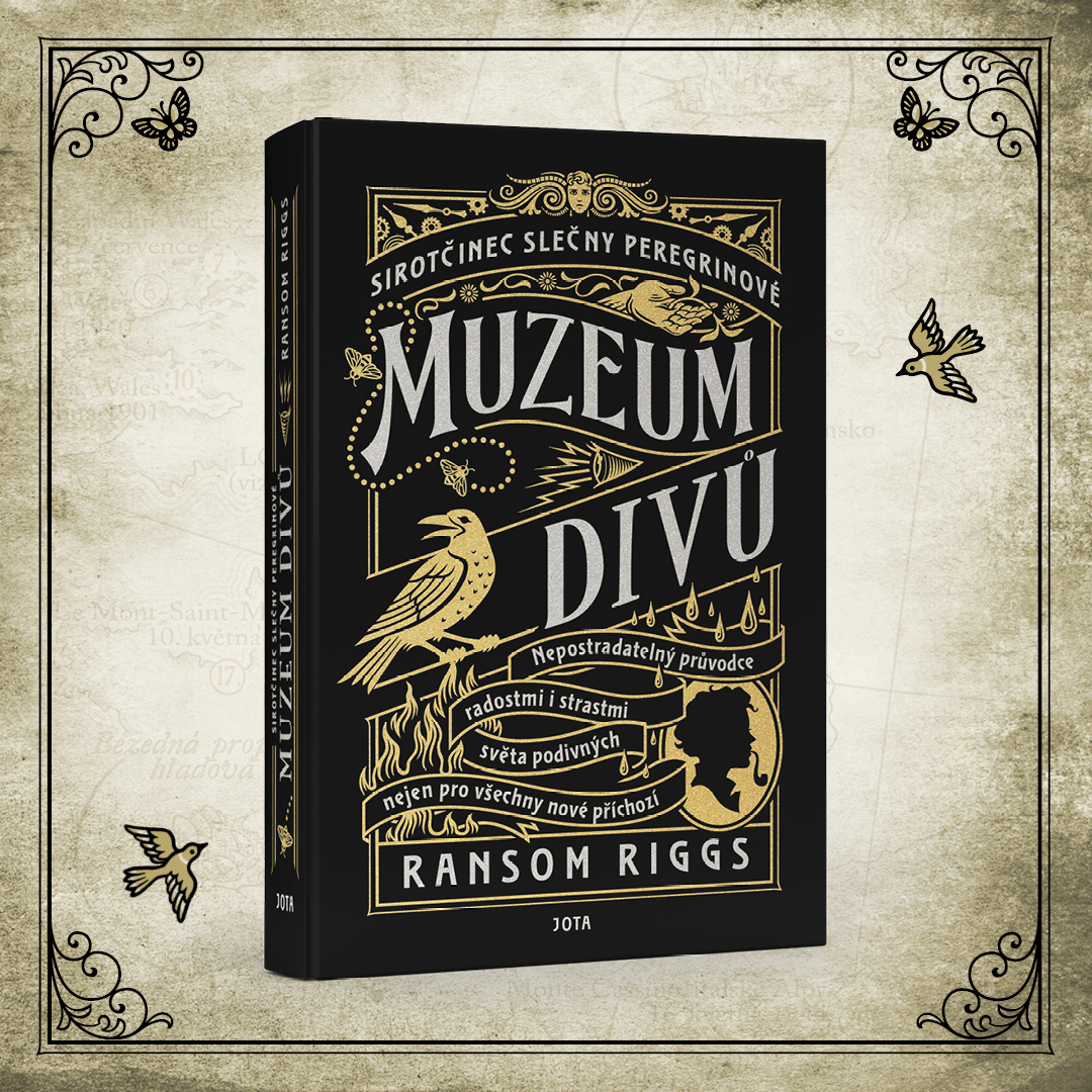 muzeum divu