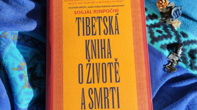 IMG 20231107 090726