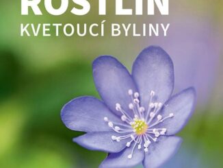 Atlas rostlin kvetoucí byliny