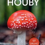 Houby – Do kapsy