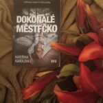 Dokonalé městečko