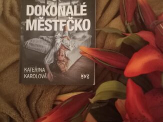 Dokonalé městečko