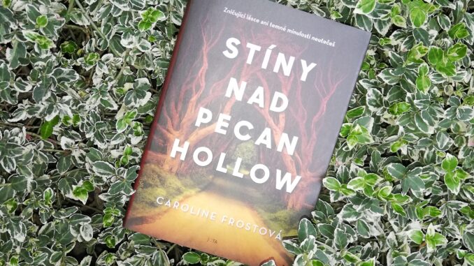 Stíny nad Pecan Hollow