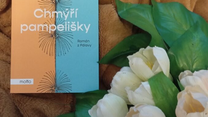 Chmýří pampelišky