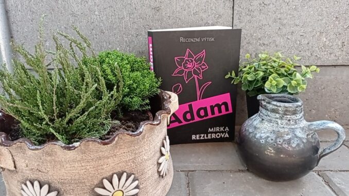 Adam Adam