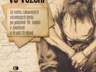 Revolucionari ve vezeni