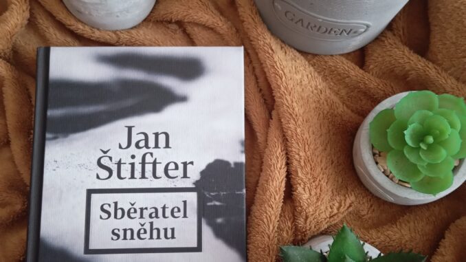 Sběratel sněhu - vlastní fotografie