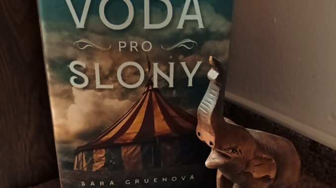 Voda pro slony