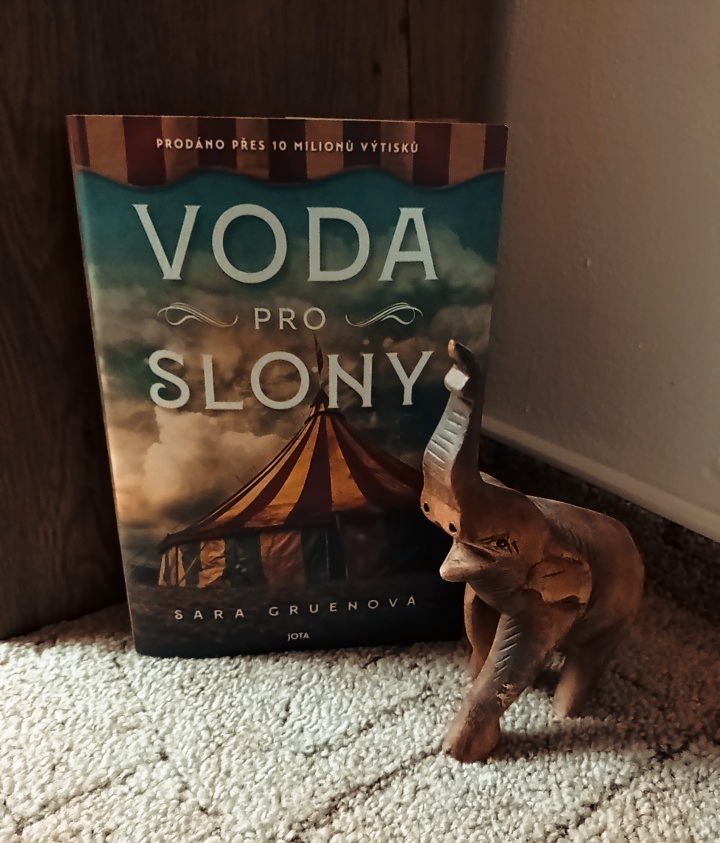 Voda pro slony