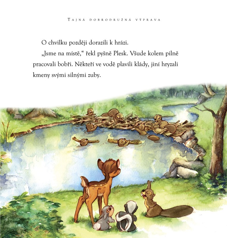 0046372269 strana 43