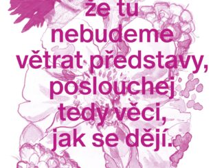 Přímluva za malé věci