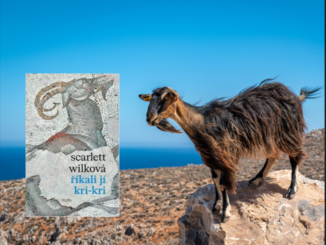 Říkali jí Kri kri