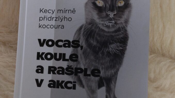 obálka Vocas, Koule a Rašple v akci