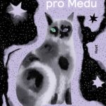 Hudební román pro teenagery