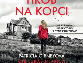 Audiokniha Hrob na kopci Patricia Gibneyova