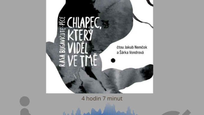 Kopie návrhu audio Synové noci