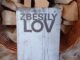 Zběsilý lov