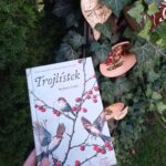 Trojlístek