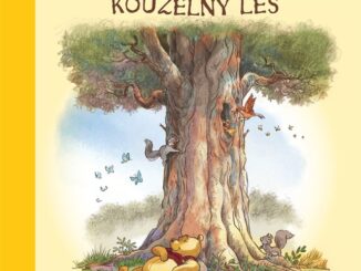 medvidek pu kouzelny les 2d