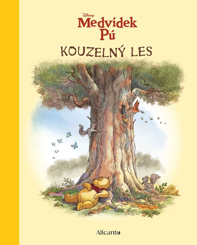 medvidek pu kouzelny les 2d
