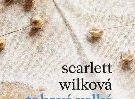 A10150F0019201 takove velke stesti 2d